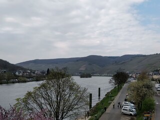 Appartamento Zell Mosel Registrazione all'aperto 14