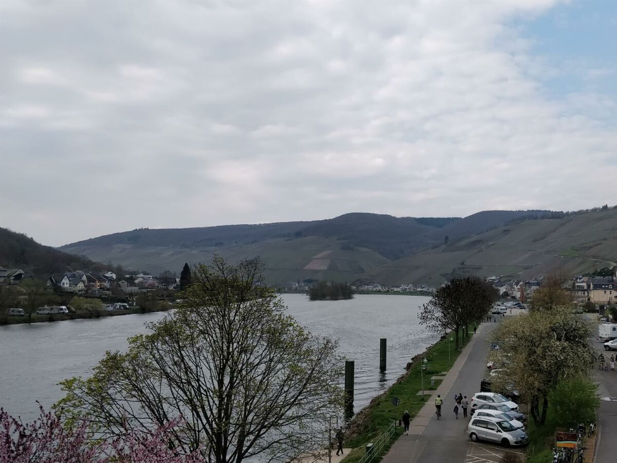 Ausblick Mosel