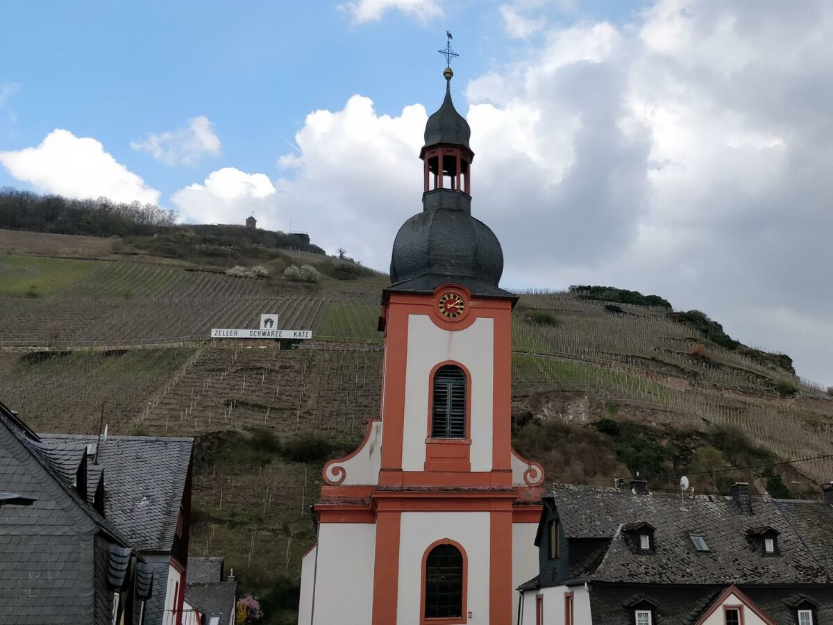 Ausblick Weinberge