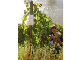 Appartamento Briedel Registrazione all'aperto 12