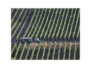 Appartamento Briedel Registrazione all'aperto 13