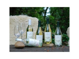 Appartamento Briedel Registrazione all'aperto 16