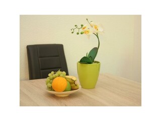 Apartamento Alf Características 10