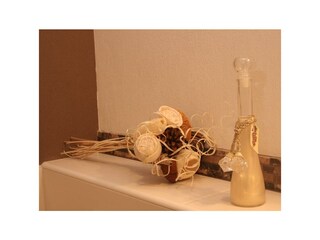 Appartamento Alf Caratteristiche 14