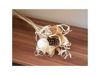 Appartamento Alf Caratteristiche 9