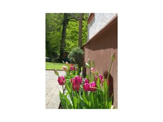 Apartamento Alf Grabación al aire libre 6