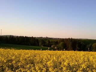 Ausblick nach Mörsdorf