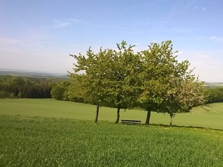 Apartamento Sosberg Grabación al aire libre 16