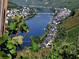 Appartamento Zell Mosel Registrazione all'aperto 1