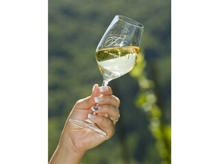 Appartamento Zell Mosel Registrazione all'aperto 17