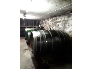 Appartamento Zell Mosel Registrazione all'aperto 4