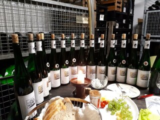 Appartamento Zell Mosel Registrazione all'aperto 7