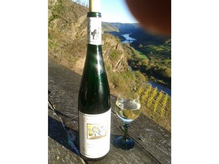 Appartamento Zell Mosel Registrazione all'aperto 10