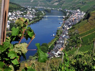 Apartamento Zell Mosel Grabación al aire libre 1