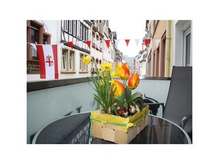 Apartamento Zell Mosel Grabación al aire libre 9