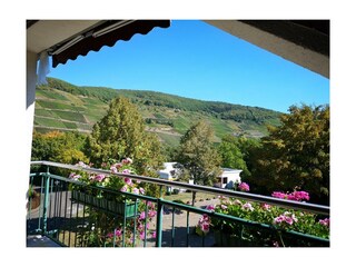 Apartamento Zell Mosel Características 22