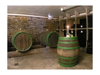 Appartamento Zell Mosel Registrazione all'aperto 11