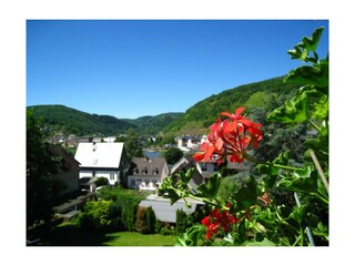 Appartement Bullay Buitenaudio-opname 24