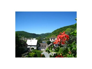 Appartement Bullay Kenmerken 32