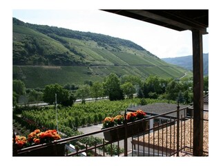 Appartement Briedel Kenmerken 7