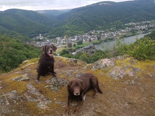 Leo und Lilli von oben Burgbishofstein