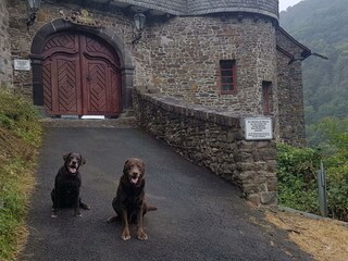 Leo & Lilli vor dem Burgbischofstein
