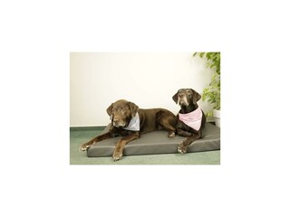 Leo und Lilli Hundebett