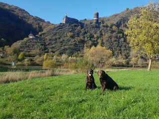 Leo & Lilli vor dem Bischofsteinburg