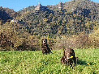 Leo &Lilli vor dem Burg Bischofstein 2