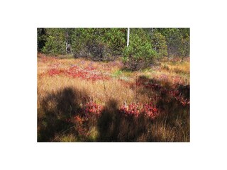 Appartamento per vacanze Blonay Ambiente 29