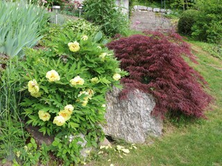 Appartamento per vacanze Blonay Ambiente 25