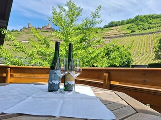 Wein aus eigenem Anbau