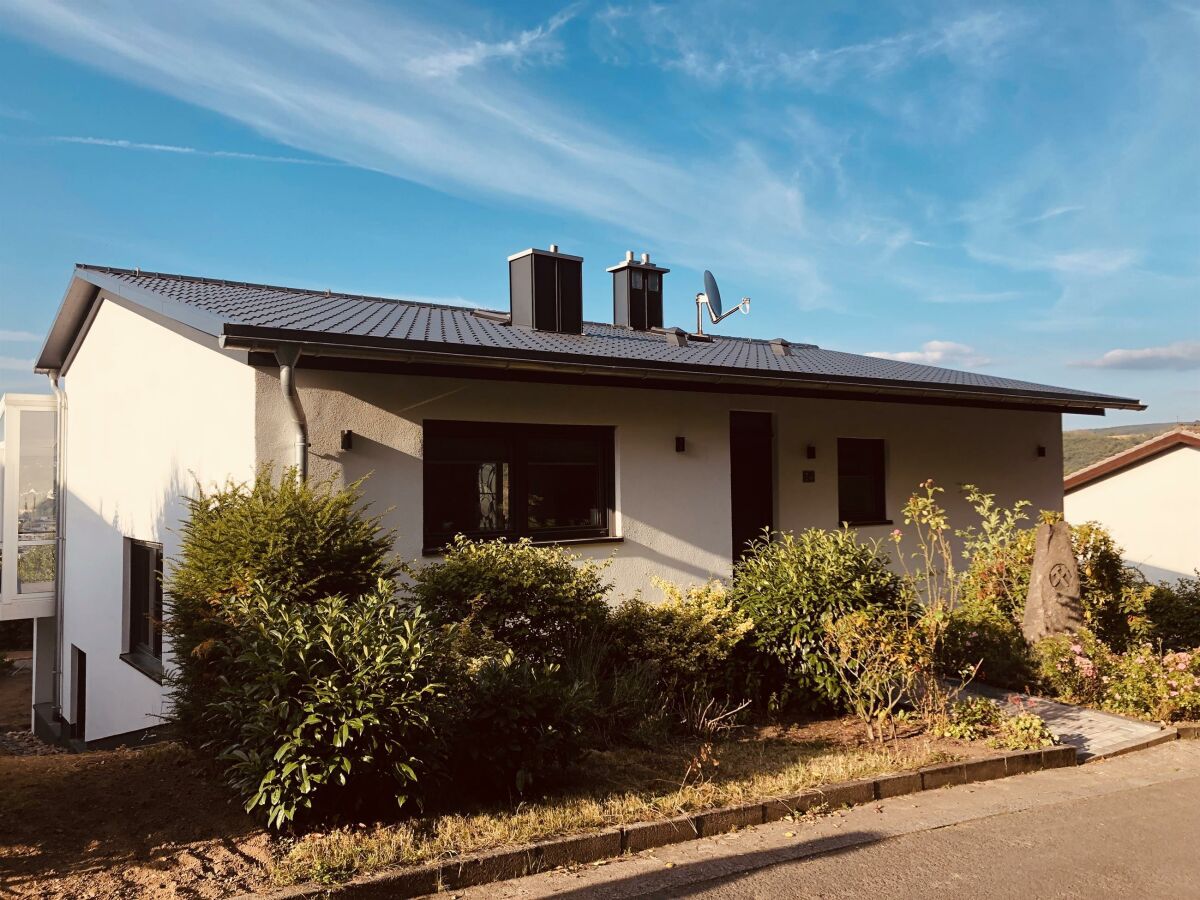 Apartment Ferienwohnung Rheinpanorama