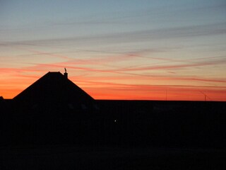 Vakantieappartement Petten Omgeving 36