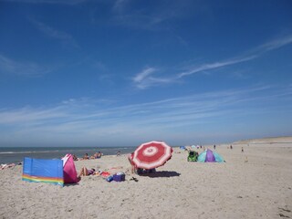Vakantieappartement Petten  25