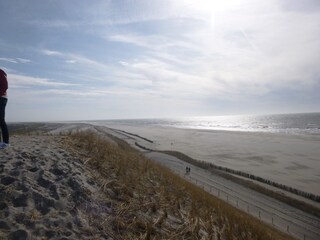 the new beach in the spring