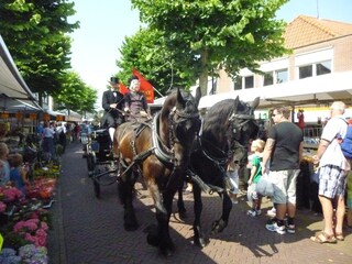 Market in Schagen with historical parade