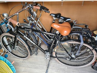 Chalet Renesse Caratteristiche 14