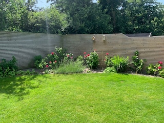 Appartamento per vacanze Renesse Registrazione all'aperto 5