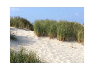 Vakantieappartement Renesse Omgeving 17