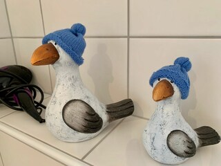 Appartamento per vacanze St. Peter-Ording Caratteristiche 31