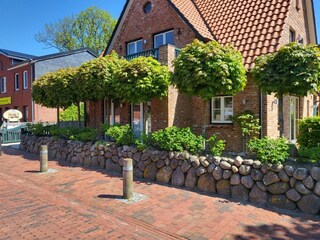 Apartamento de vacaciones St. Peter-Ording Grabación al aire libre 36