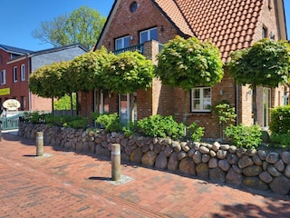 Apartamento de vacaciones St. Peter-Ording Grabación al aire libre 38