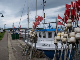 Hafen Altwarp