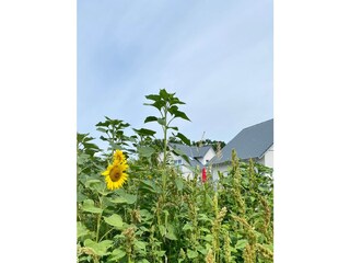 Vakantiehuis Altwarp Buitenaudio-opname 8