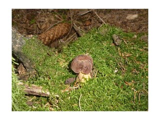 Appartement Heddert Enregistrement extérieur 14