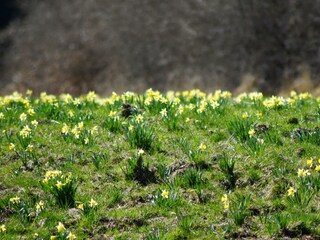 Appartement Heddert Enregistrement extérieur 22