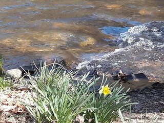 Appartement Heddert Buitenaudio-opname 23