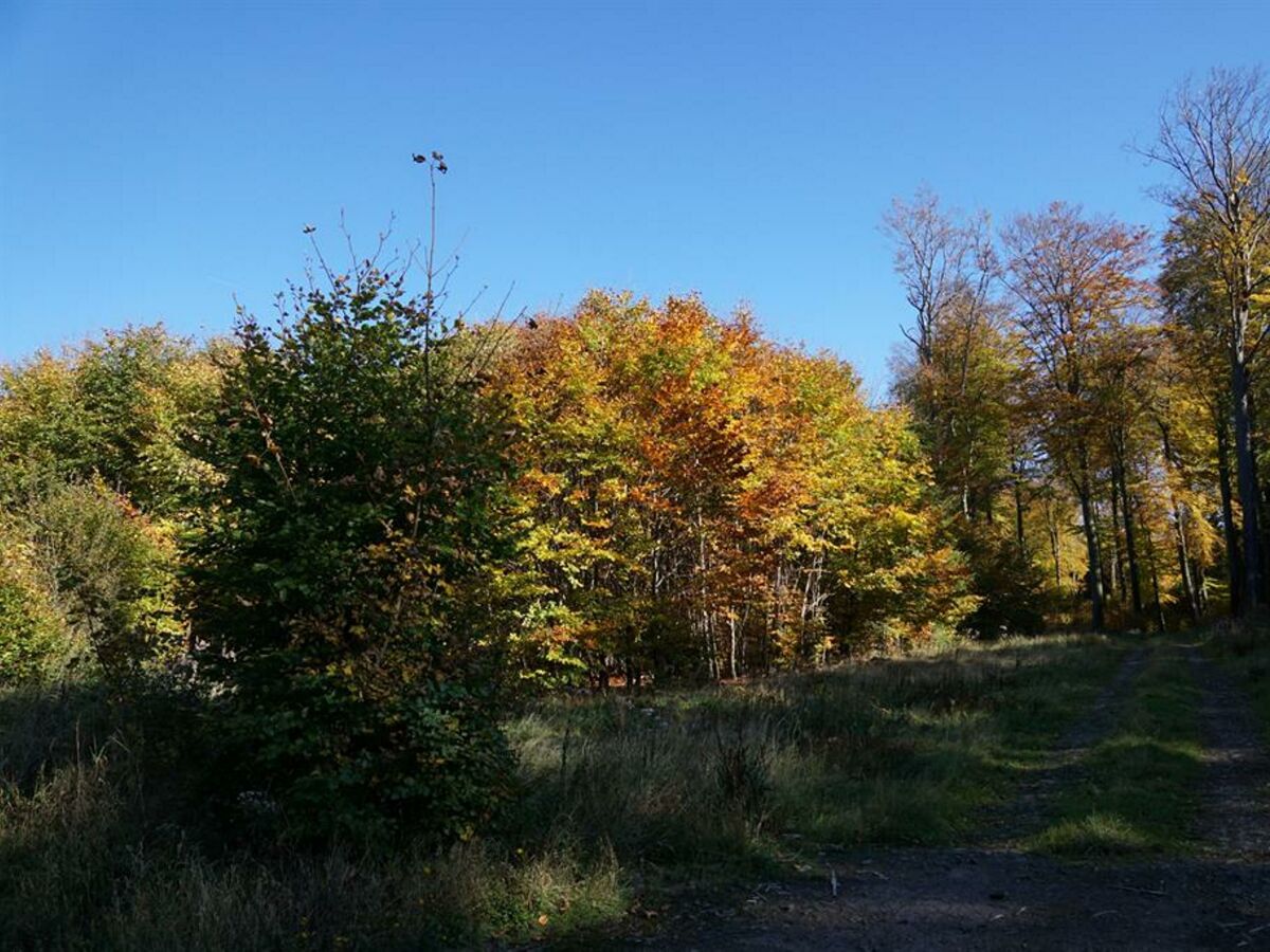 Der Herbst von seiner schönsten Seite.