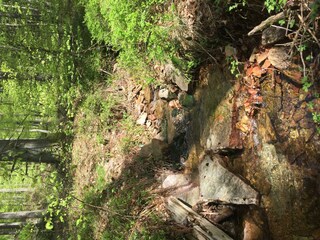 Appartement Kell am See Enregistrement extérieur 8